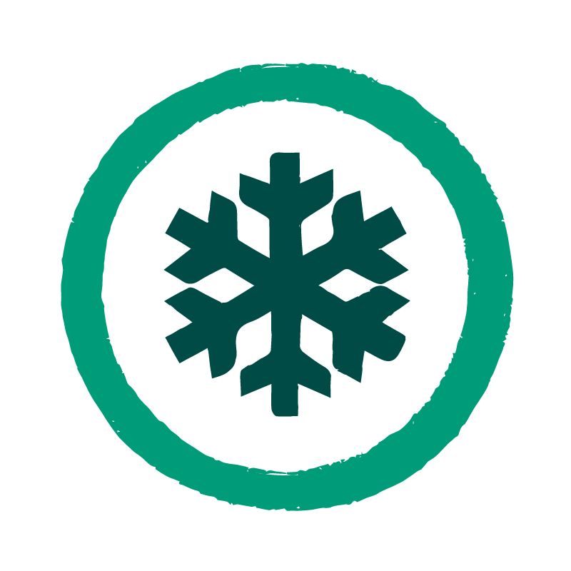 teal snowflake in green circle